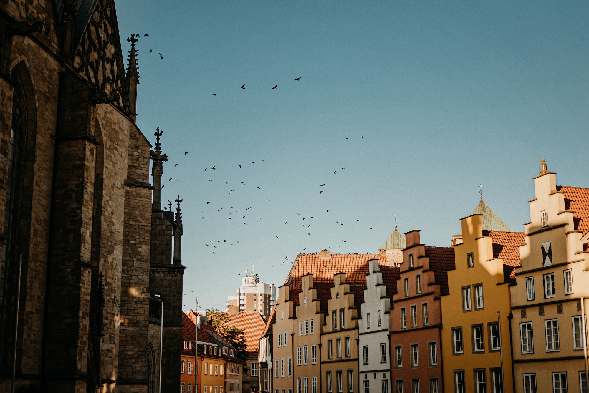 Leistungen der Wiese GmbH rund um Immobilien